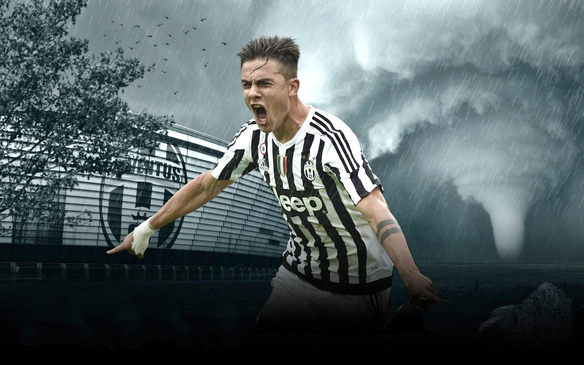 2025 赛季：芝加哥小熊队新秀铃木诚也连续 15 场有安打，打破队史外籍球员纪录